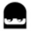 Wesatoshis visual