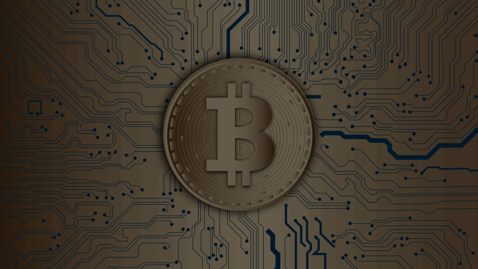 Human Rights Foundation Bitcoin Development Fund logo